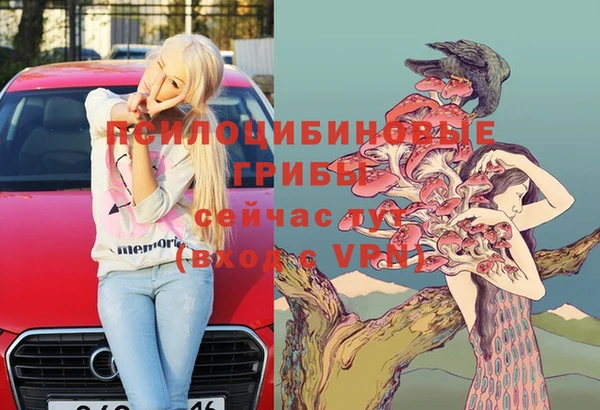 молекула духа Богородск