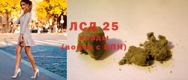 молекула духа Богородск