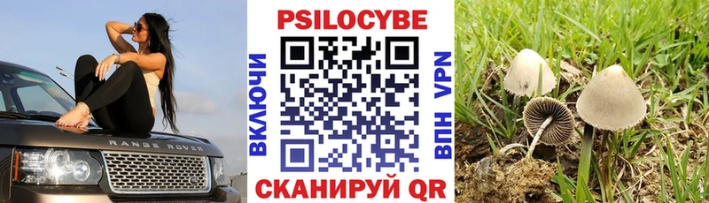 Псилоцибиновые грибы прущие грибы  Наро-Фоминск 
